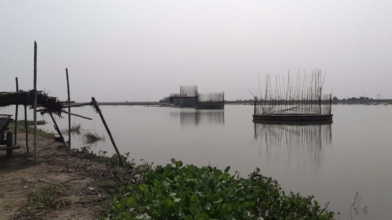 2024 तक तैयार होगा फुलौत और बिहपुर के बीच कोसी पर 7वां पुल, Bridge construction work intensified in Phulaut of Madhepura on Kosi River