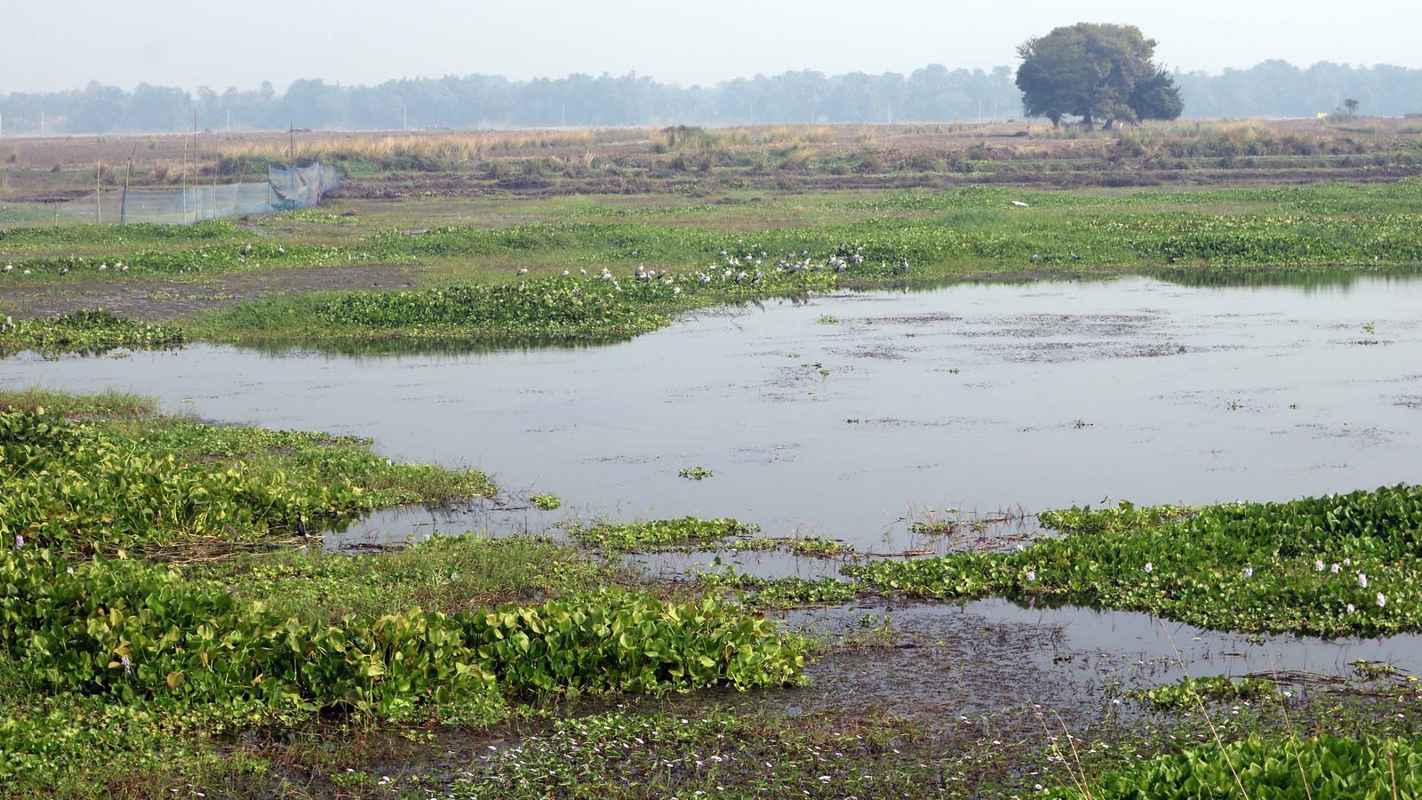 Amrit Sarowar Yojana