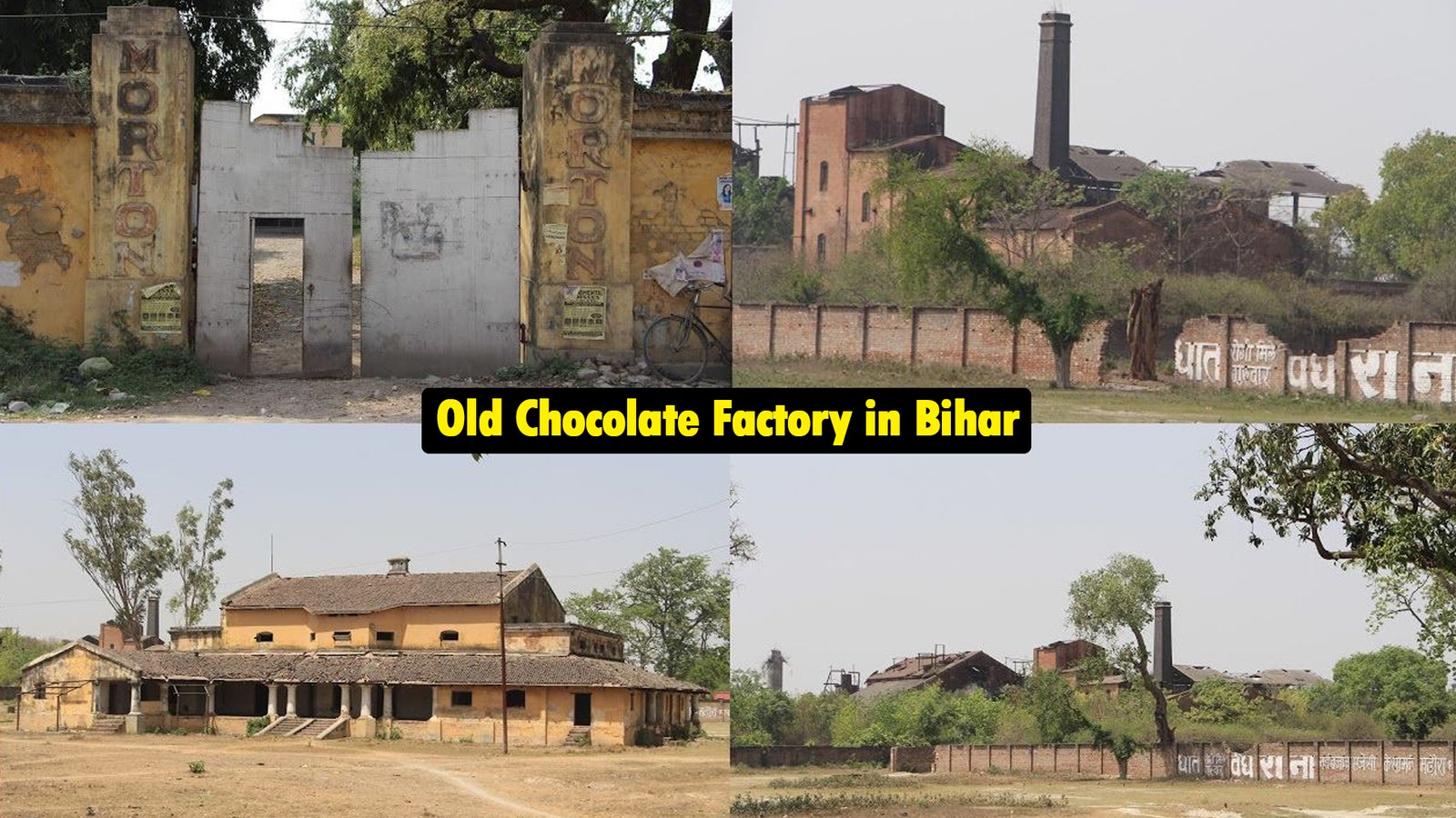 Why there is no big company in Bihar