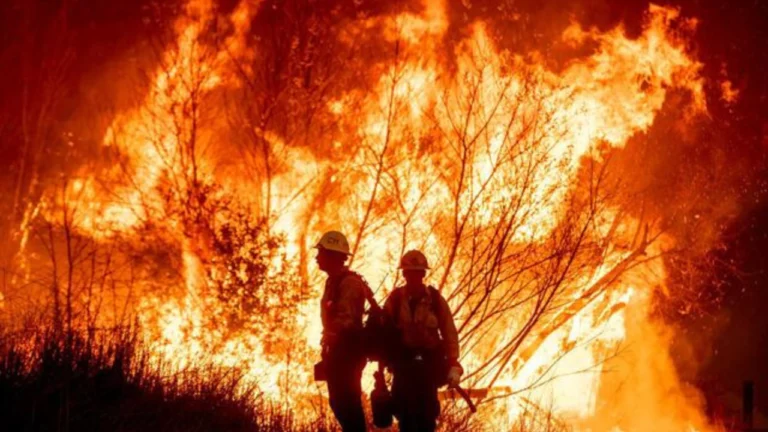 लॉस एंजेलेस की आग: जलवायु परिवर्तन और इंसानी लापरवाही की तबाही, Los Angeles Wildfire 