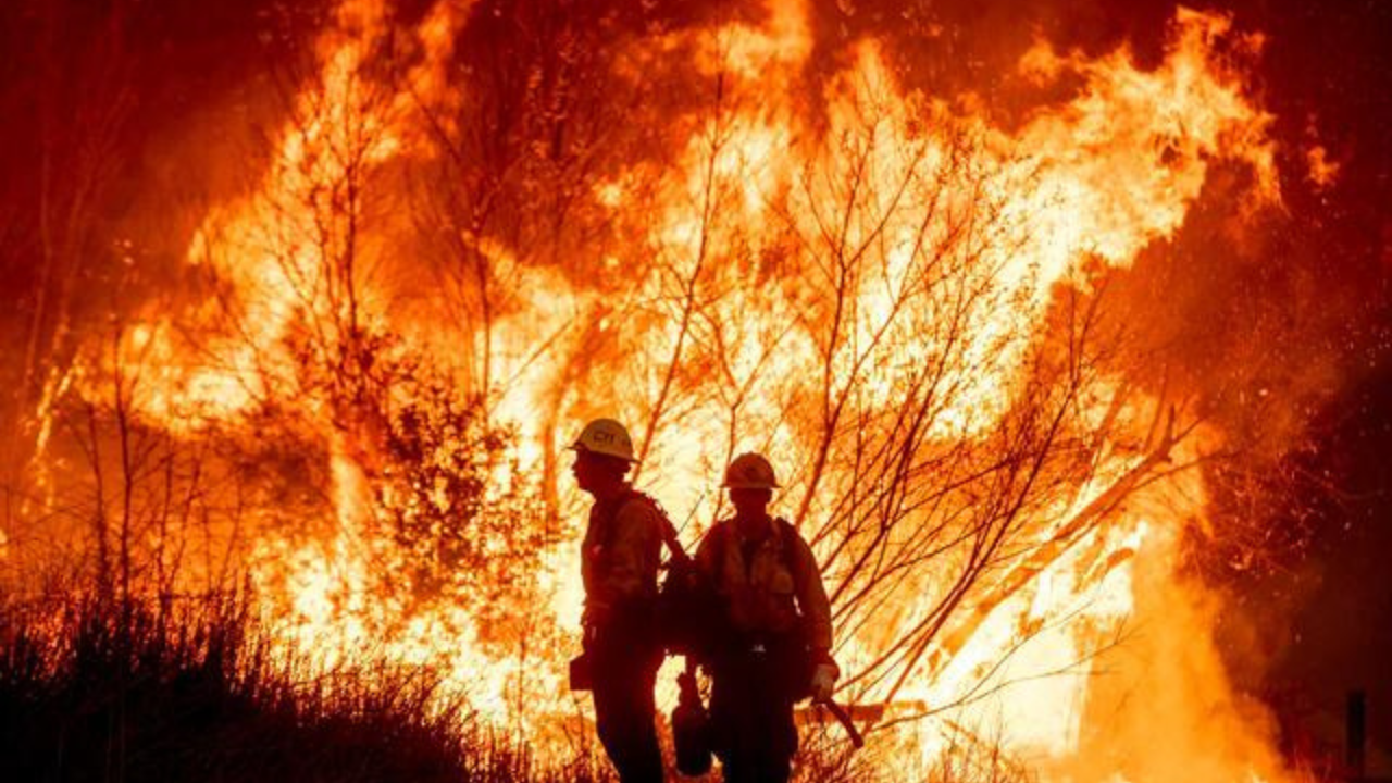 Los Angeles Wildfire