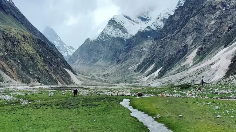 निति वैली और गमशाली बुग्याल ट्रेक: भारत के अंतिम गाँवों की खूबसूरती, Niti Valley & Gamshali Bugyal Trek 